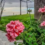 度假居 Di Montagna In Pietra - *