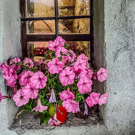 Di Montagna In Pietra - Дом отдыха Val di Chy