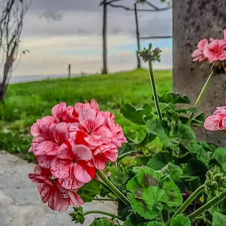 Дом отдыха Di Montagna In Pietra - *