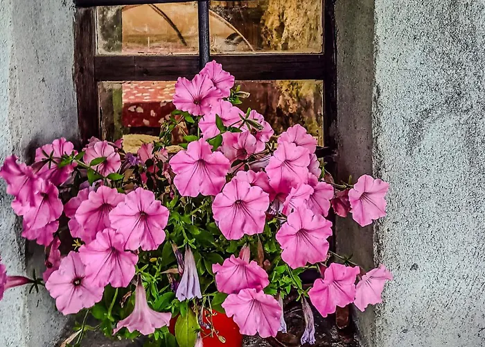 Di Montagna In Pietra - 別荘 Val di Chy